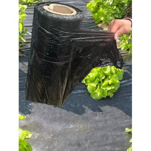 Folie pentru mulcire 15 microni, latime 80cm x 2500 m