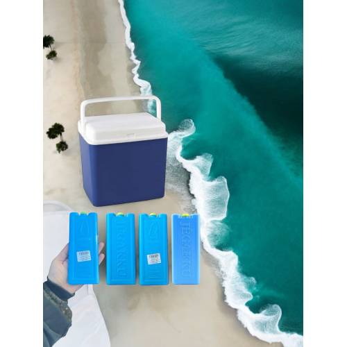 Lada frigorifica 24 L pentru plaja, picnic + 4 pastile racire Enger 200g
