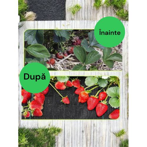 Agrotextil Antiburuieni 90g/mp, 3.1 m x 60 m Agrotextil Antiburuieni 90g/mp, 3.1 m x 60 m