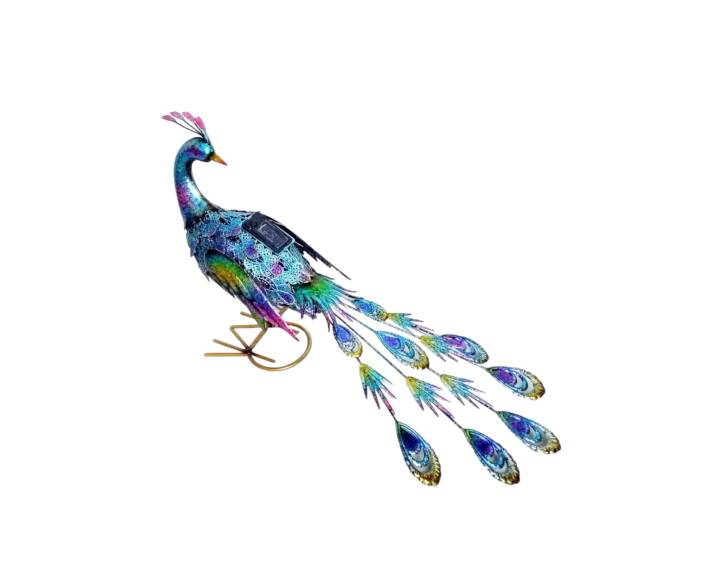 Paun - albastru multicolor