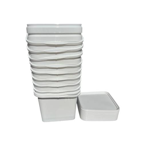 Galeata sigilabila patrata 10L, set 10 buc