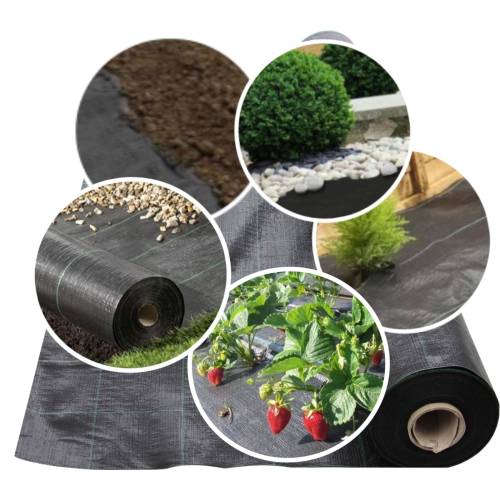 Agrotextil Antiburuieni 90g/mp, 3.1 m x 60 m Agrotextil Antiburuieni 90g/mp, 3.1 m x 60 m