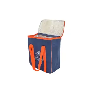 Geanta frigorifica 25x14x19cm