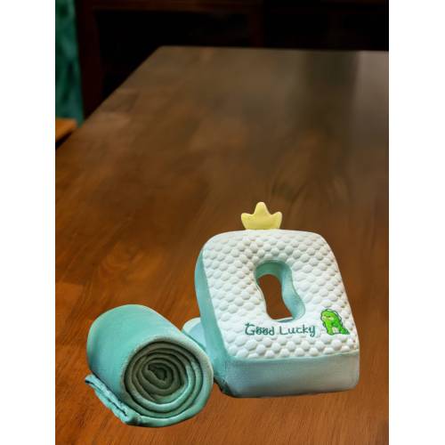 Set 2in1 Patura Microfibra si Perna cu Umplutura din Bumbac pentru Birou, Calatorii, Model Dinozaur, Verde