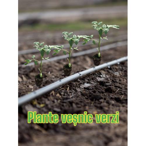 Tub de picurare 25cm/100m, calitate premium cu 15 accesorii gratis