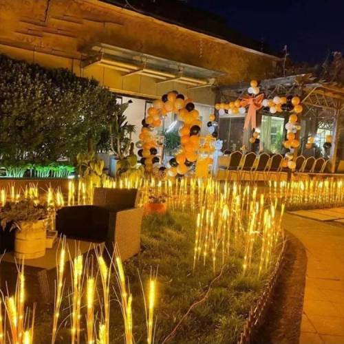 Lampa solara, decoratiune gradina spic de grau, 80cm