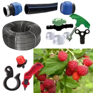 Kit irigare tub picurare suspendat cultura de zmeura, 50 plante 